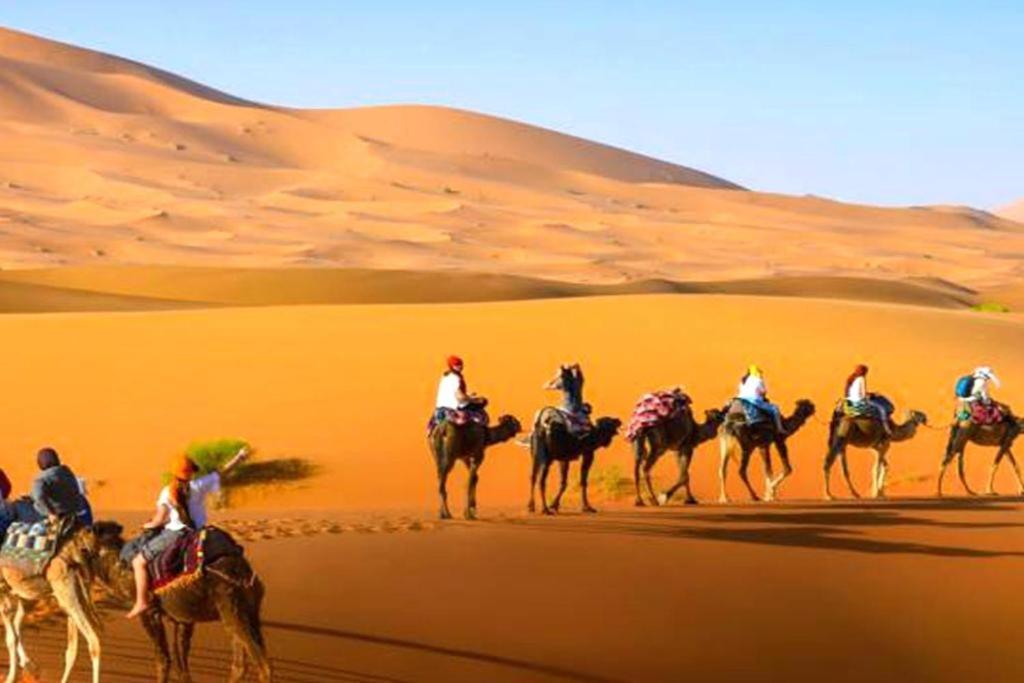 Hotel Sahara Safari Camp à Merzouga Extérieur photo
